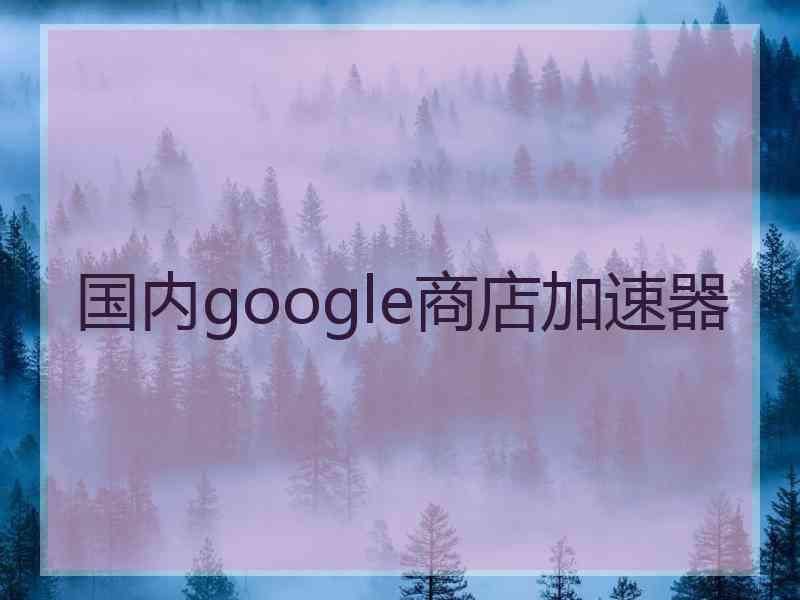 国内google商店加速器