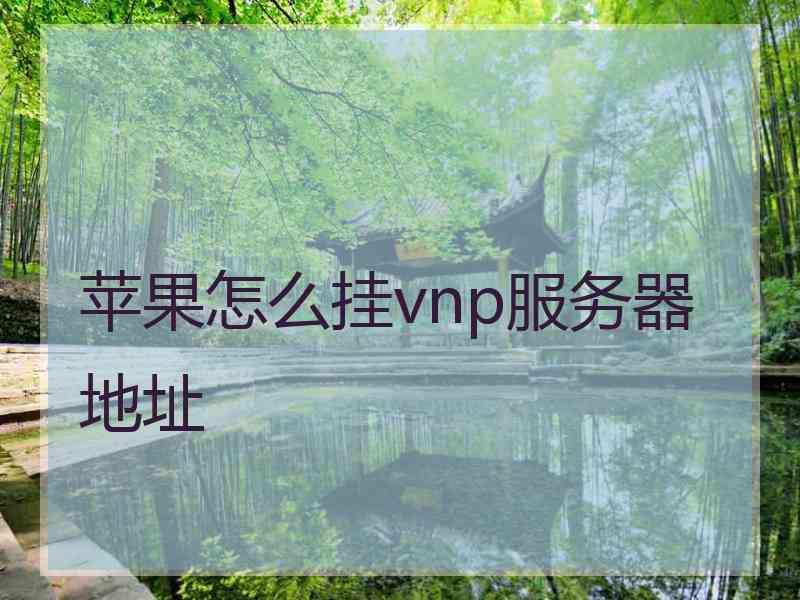 苹果怎么挂vnp服务器地址