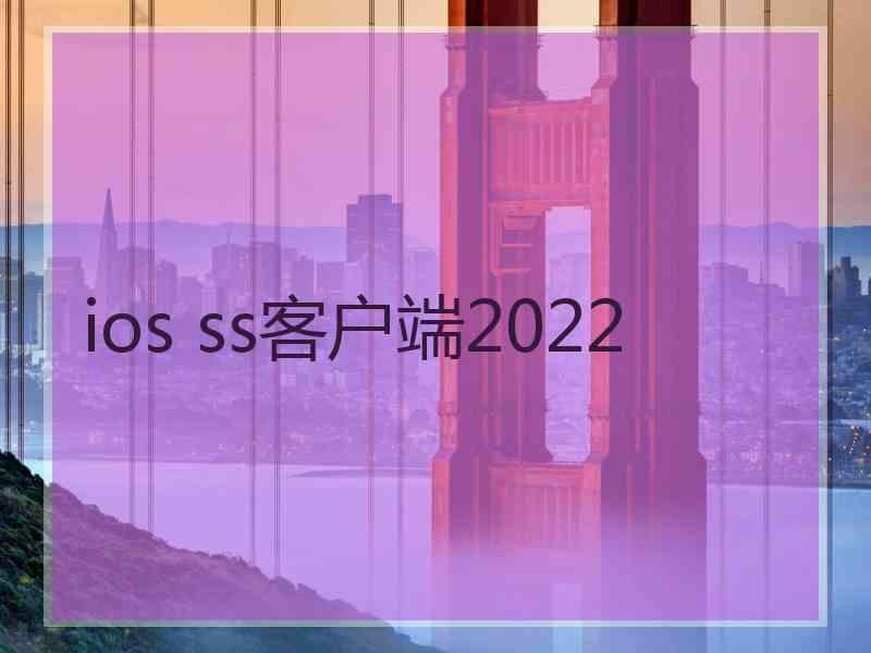 ios ss客户端2022