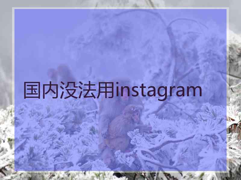 国内没法用instagram