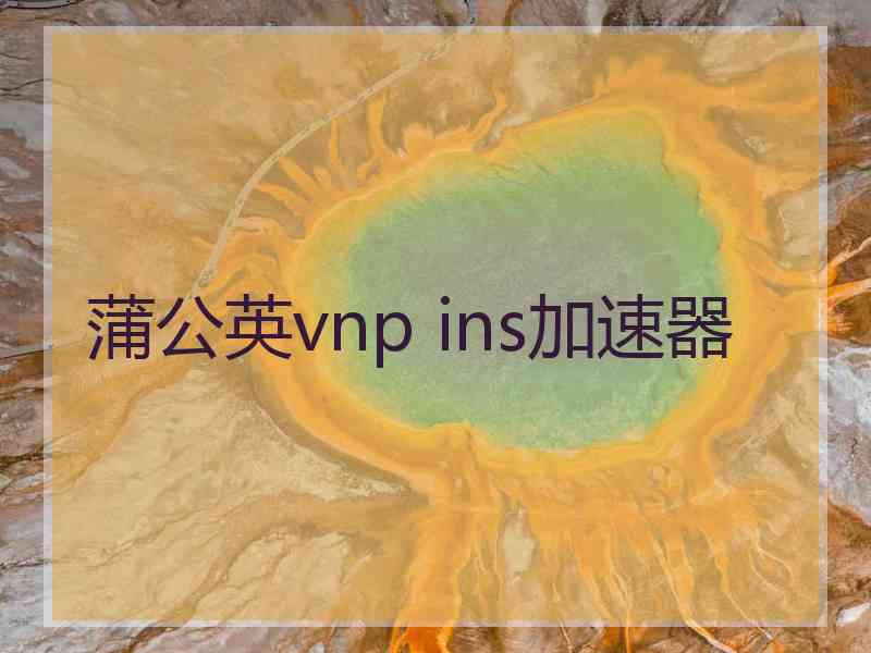 蒲公英vnp ins加速器