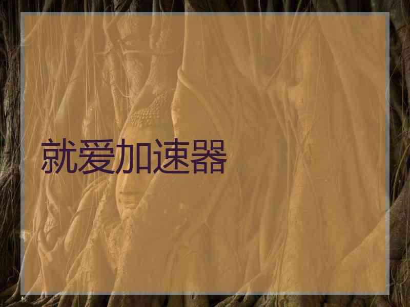 就爱加速器
