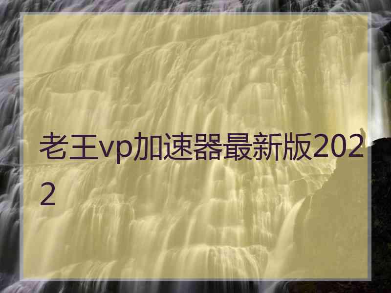 老王vp加速器最新版2022