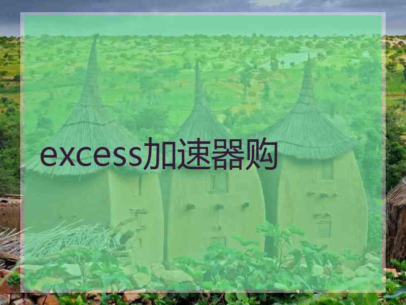 excess加速器购