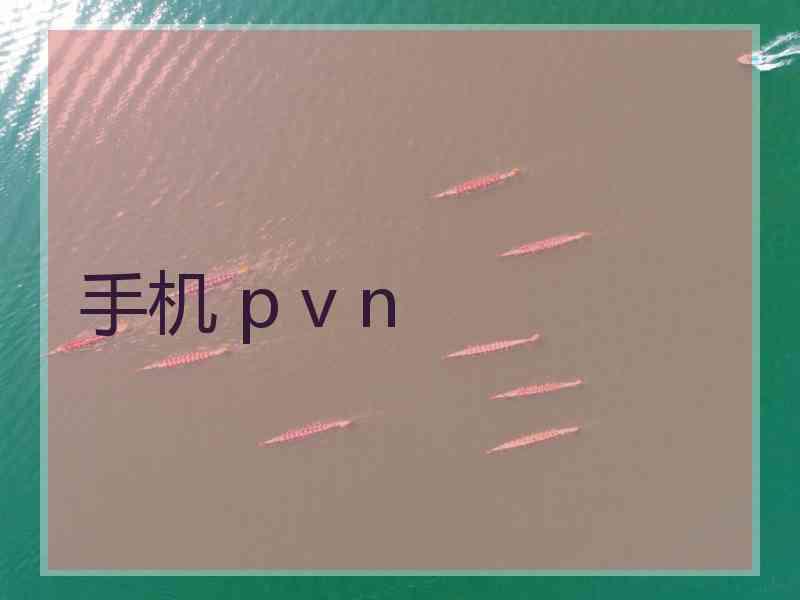 手机 p v n