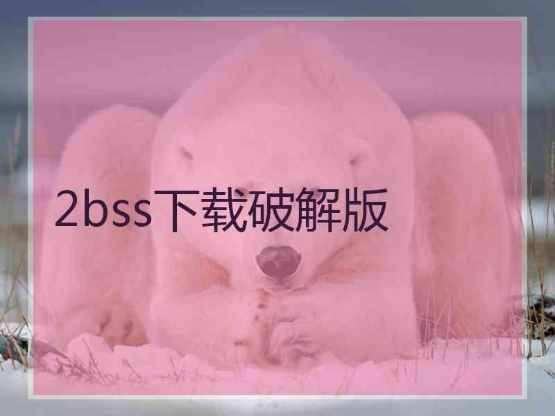 2bss下载破解版