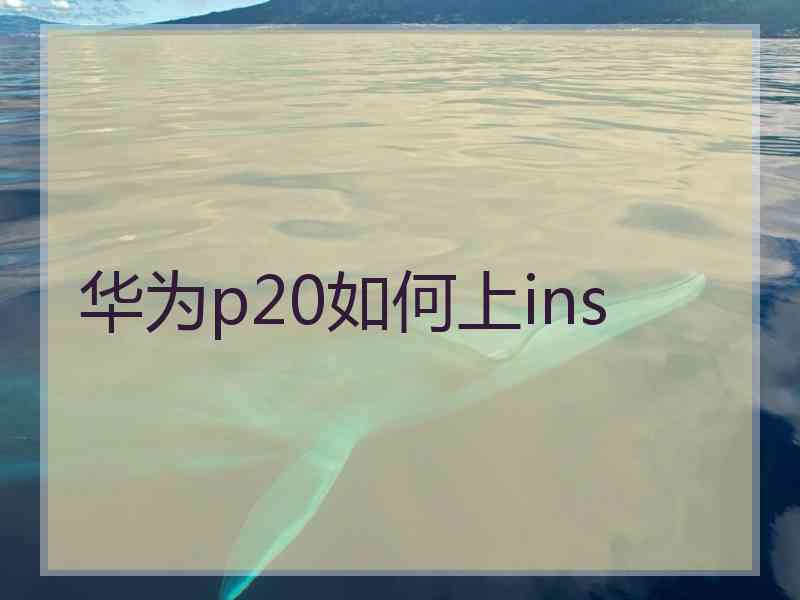 华为p20如何上ins