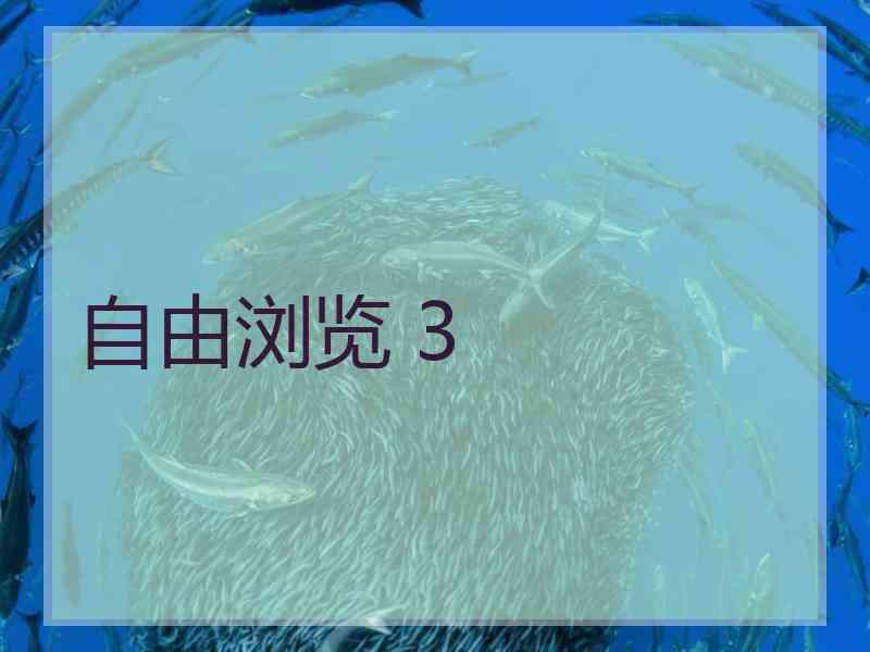 自由浏览 3