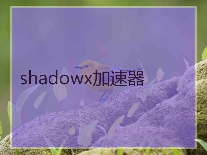 shadowx加速器