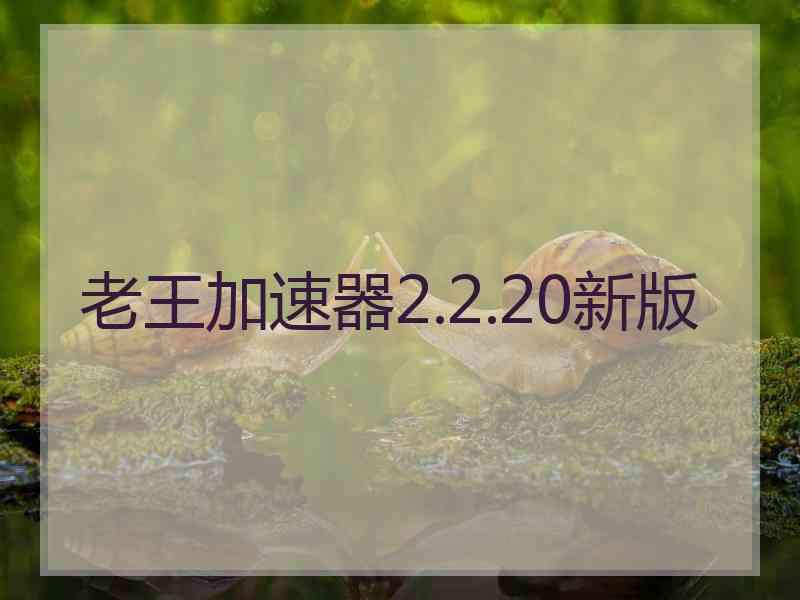 老王加速器2.2.20新版