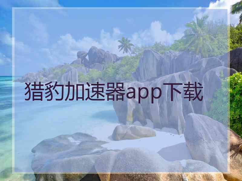 猎豹加速器app下载