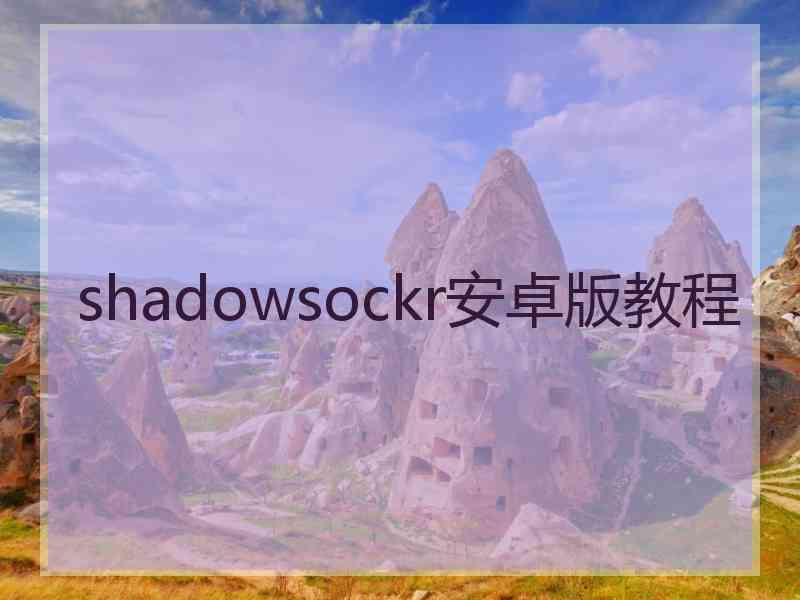 shadowsockr安卓版教程