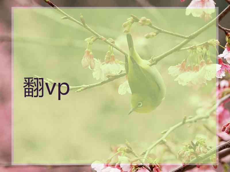 翻vp