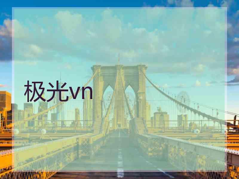 极光vn