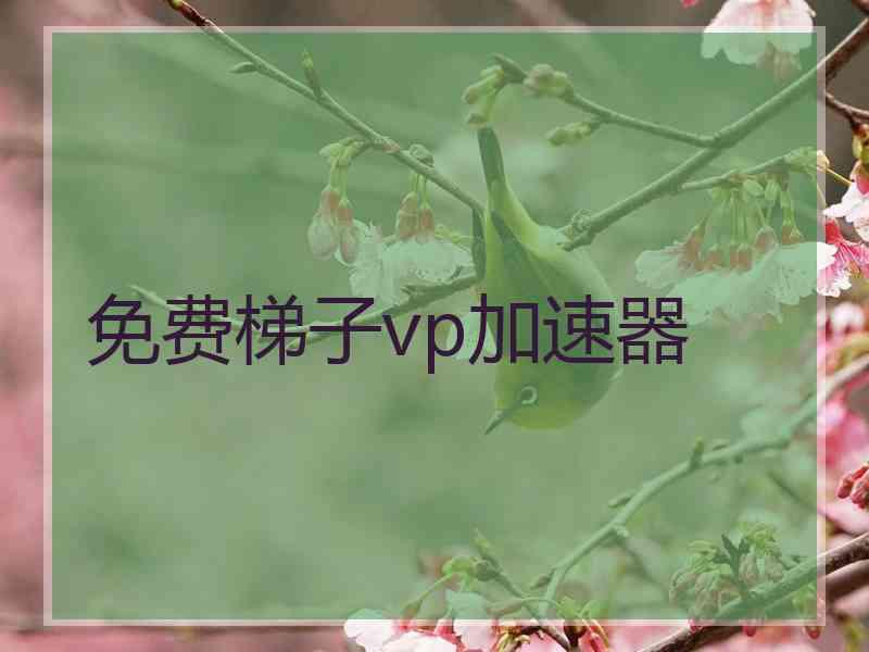 免费梯子vp加速器