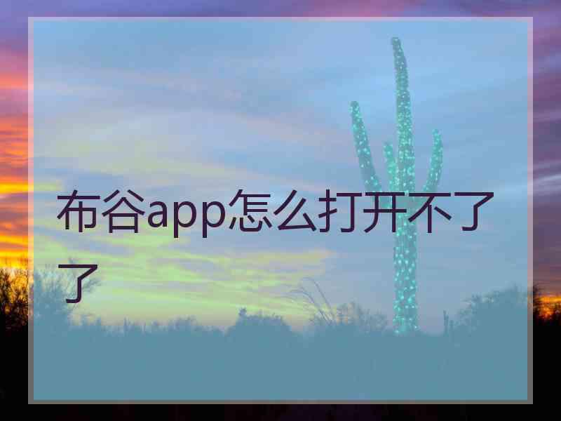 布谷app怎么打开不了了