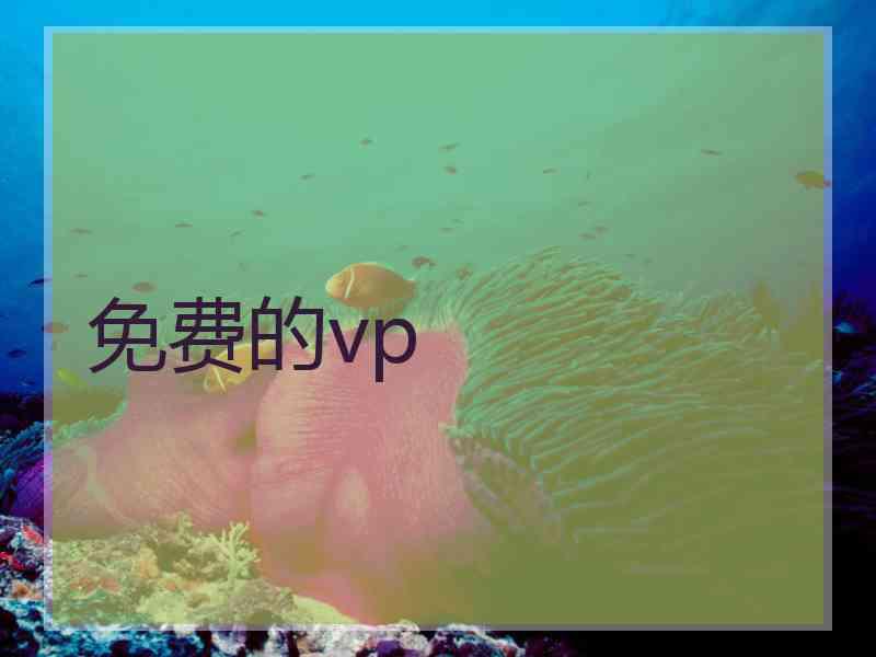 免费的vp