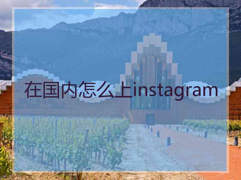 在国内怎么上instagram