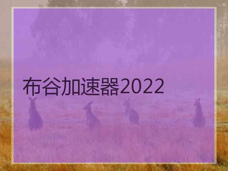 布谷加速器2022