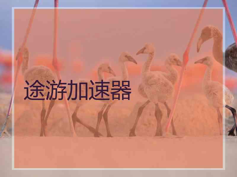 途游加速器