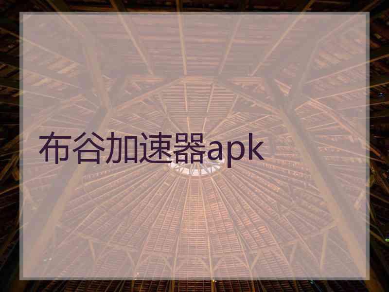 布谷加速器apk