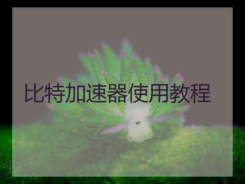 比特加速器使用教程