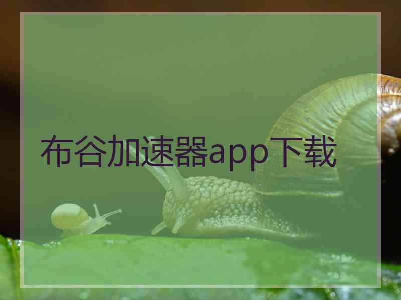 布谷加速器app下载
