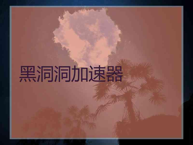 黑洞洞加速器