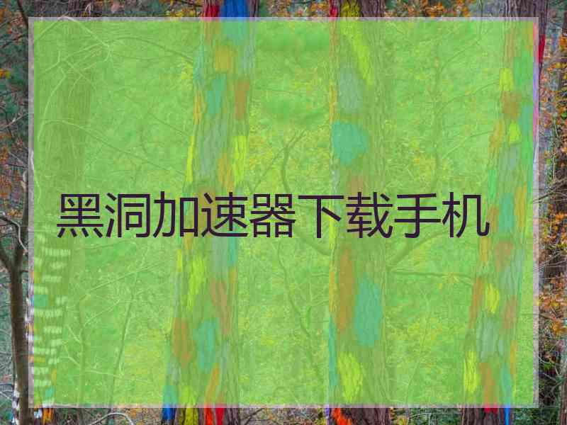 黑洞加速器下载手机