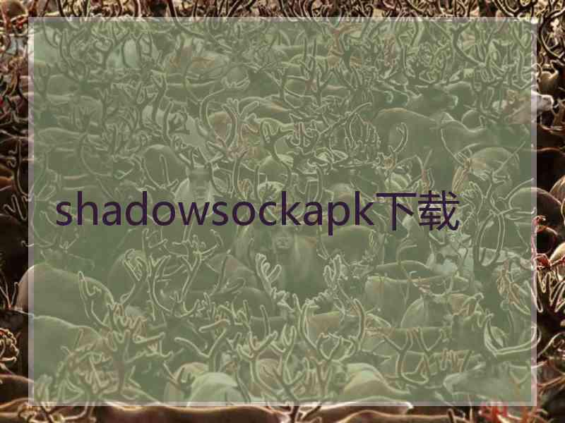 shadowsockapk下载