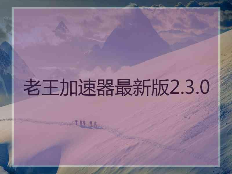 老王加速器最新版2.3.0