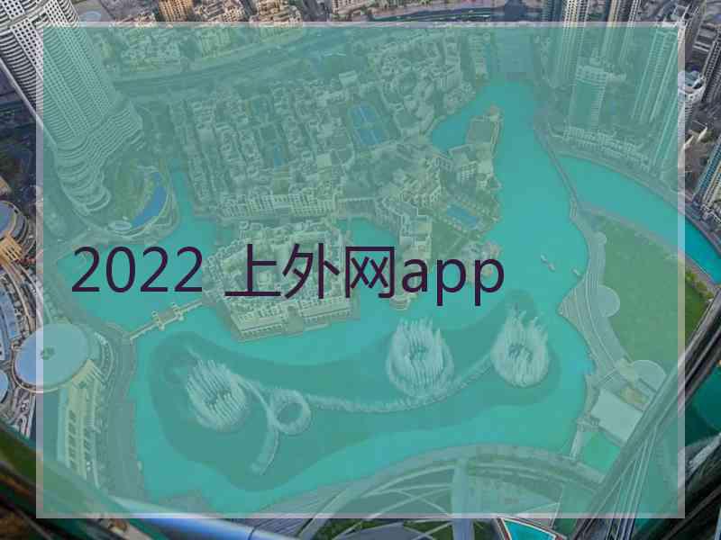 2022 上外网app