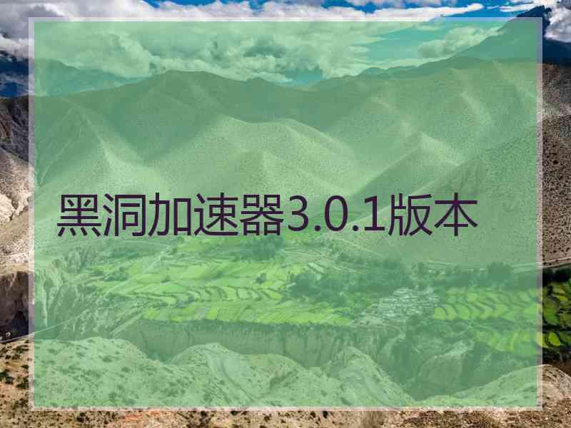 黑洞加速器3.0.1版本