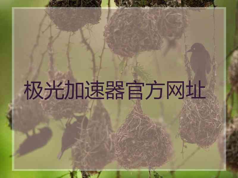 极光加速器官方网址