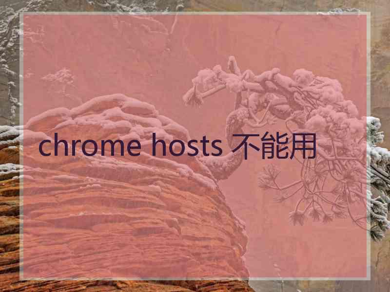 chrome hosts 不能用