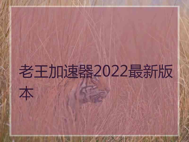 老王加速器2022最新版本