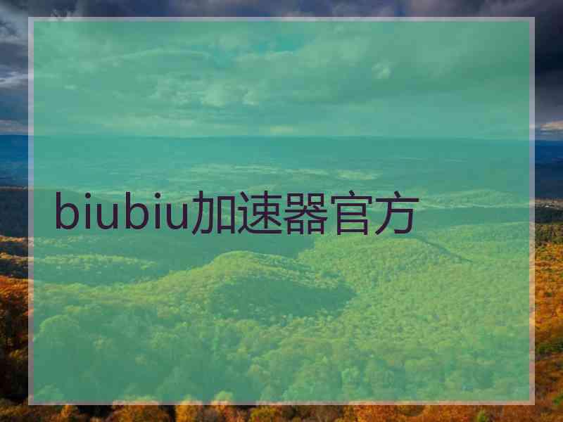 biubiu加速器官方