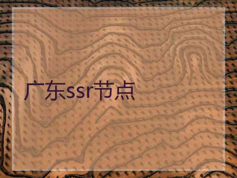 广东ssr节点