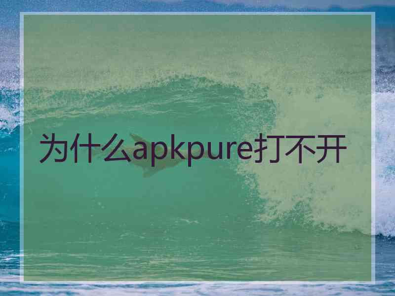 为什么apkpure打不开