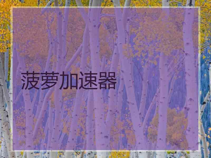 菠萝加速器