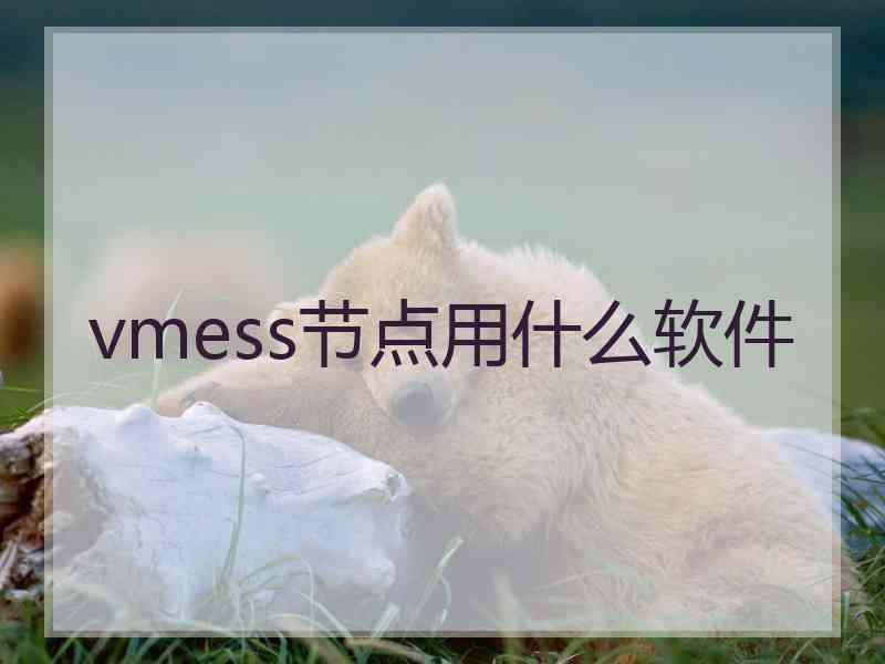 vmess节点用什么软件