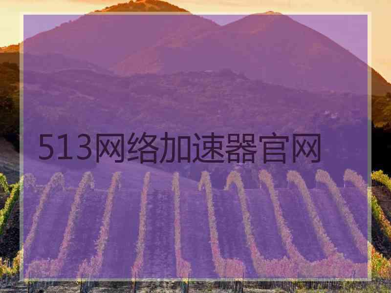 513网络加速器官网