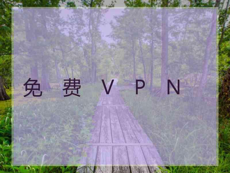 免　费　V　P　N