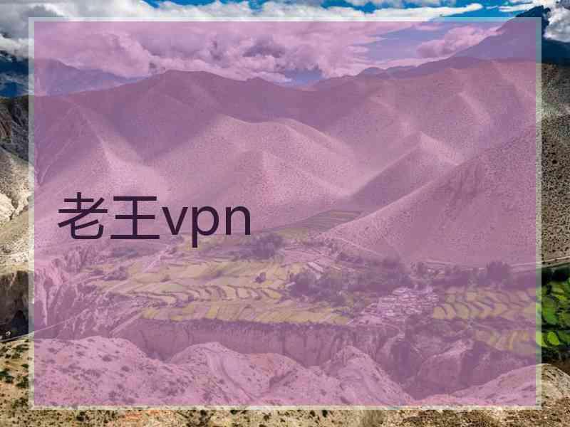 老王vpn