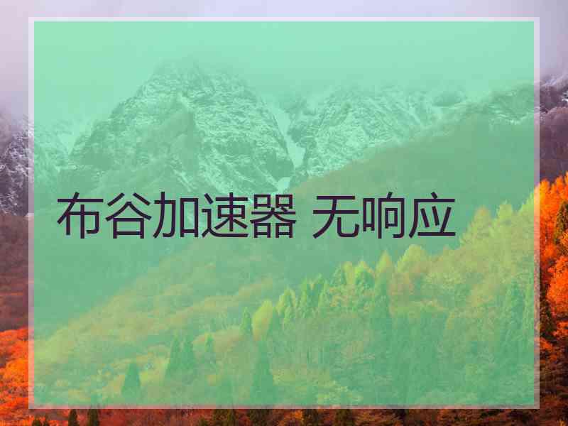 布谷加速器 无响应