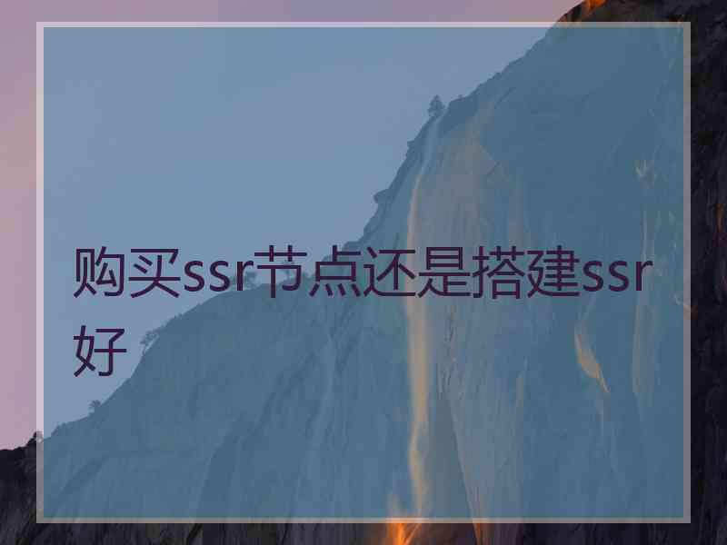 购买ssr节点还是搭建ssr好