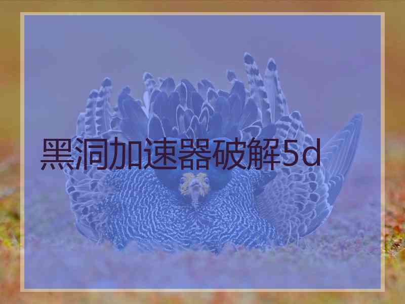 黑洞加速器破解5d