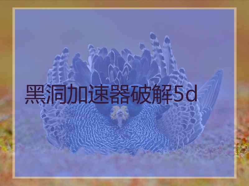 黑洞加速器破解5d