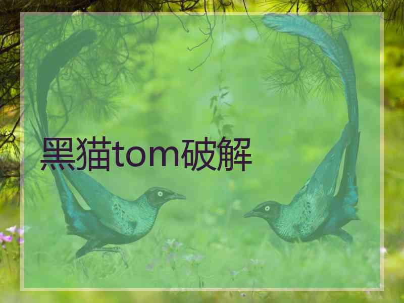 黑猫tom破解