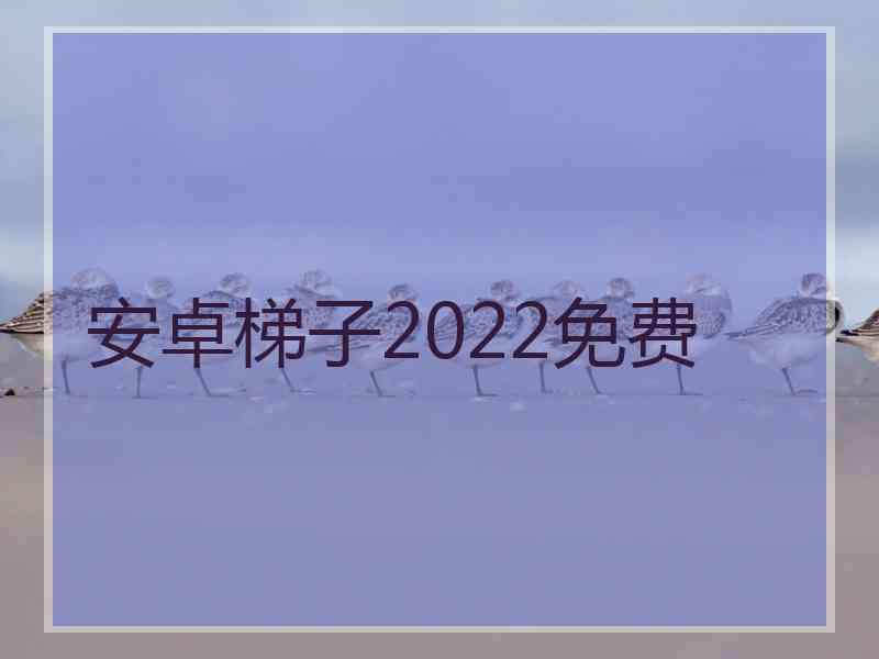 安卓梯子2022免费